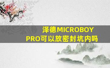 泽德MICROBOY PRO可以放密封坑内吗